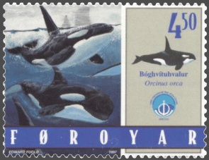 meeresbiologie studium schwertwal orca briefmarke hobby lisa mertens