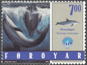 meeresbiologie studium delfin delfine briefmarke hobby lisa mertens